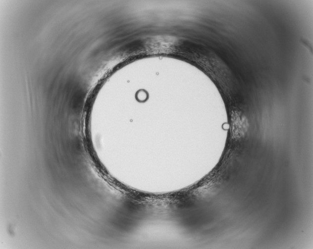 X0000103940726200810031321