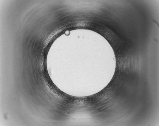 X0000103940728200810031321