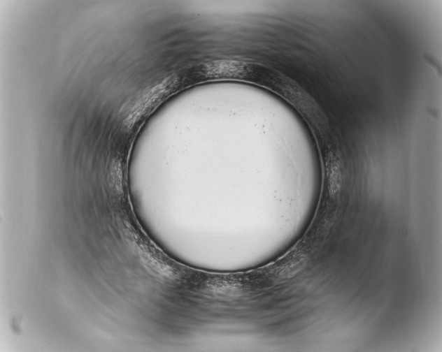 X0000103940729200810031321