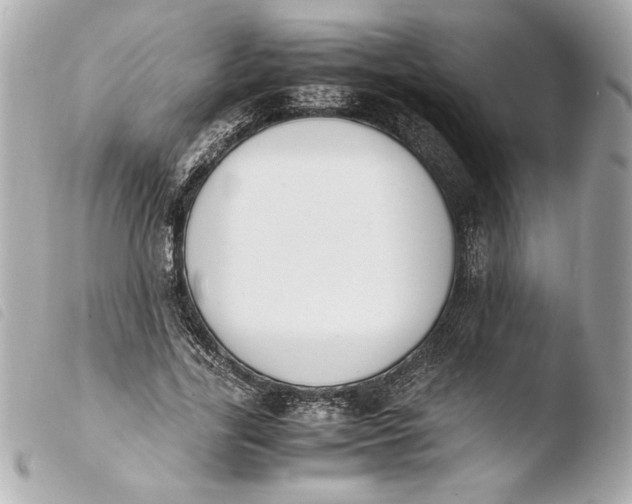 X0000103940731200810031321