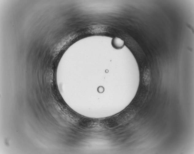 X0000103940732200810031321