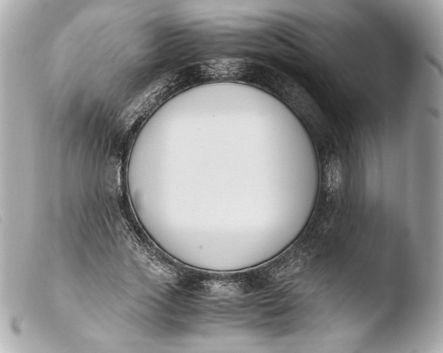 X0000103940733200810031321