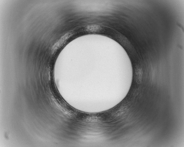 X0000103940734200810031321