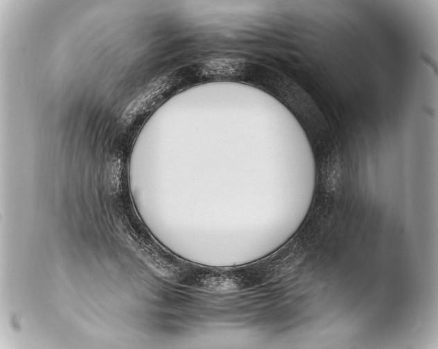 X0000103940735200810031321