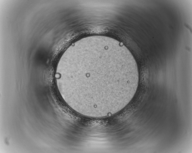 X0000103940736200810031321