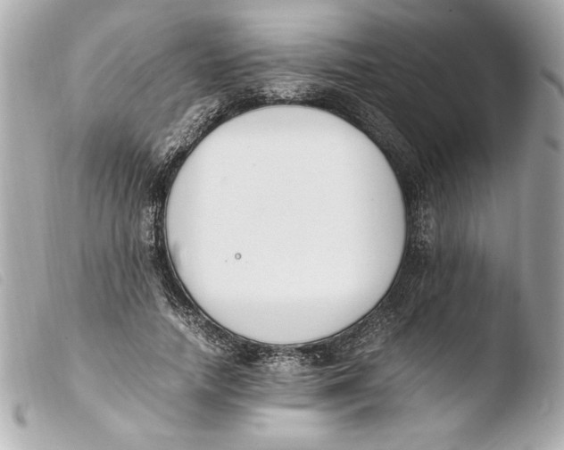 X0000103940738200810031321