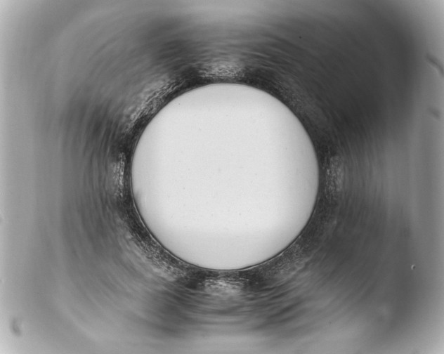 X0000103940739200810031321