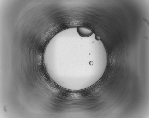 X0000103940741200810031321