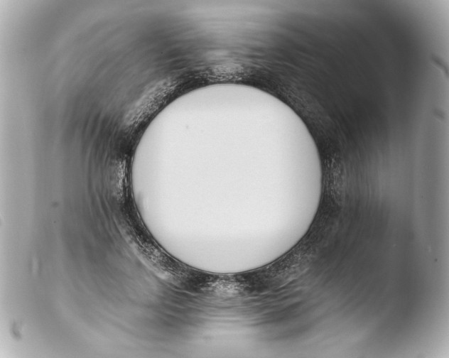 X0000103940742200810031321