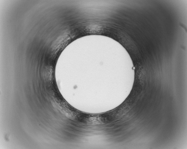 X0000103940744200810031321