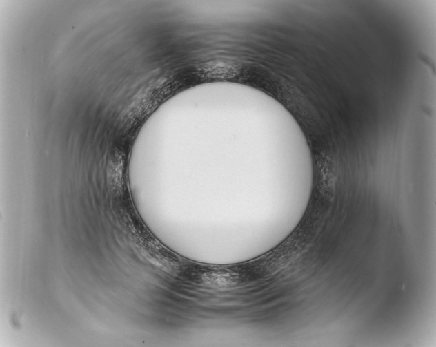 X0000103940745200810031321