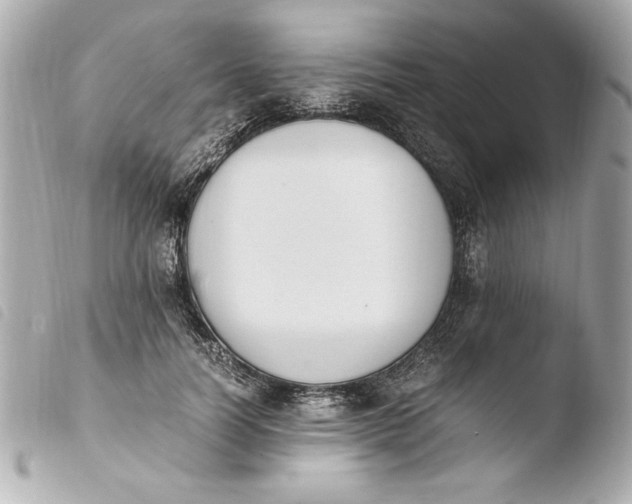 X0000103940746200810031321