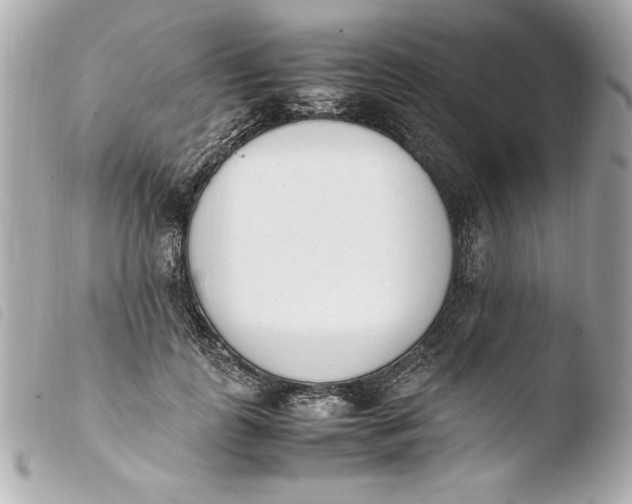 X0000103940747200810031321