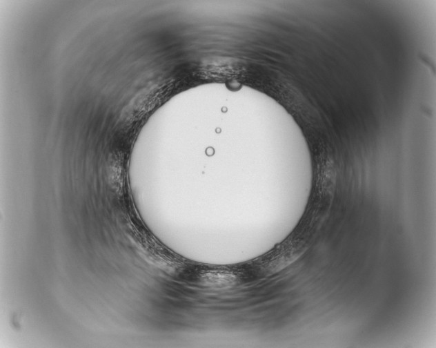 X0000103940749200810031322