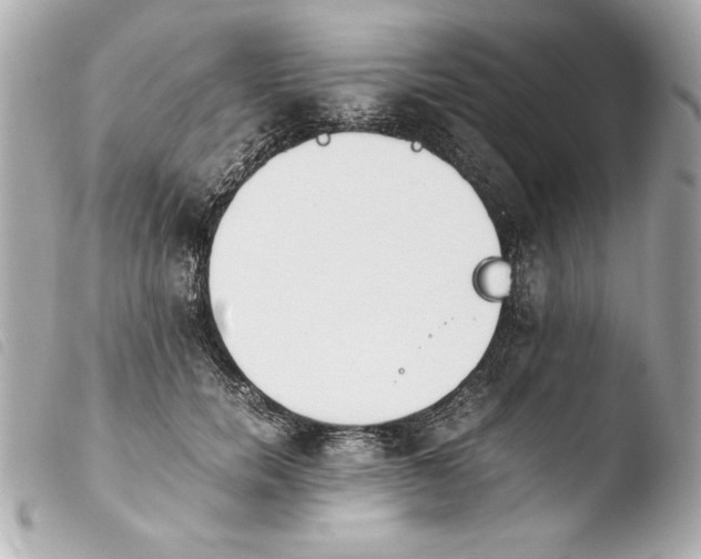 X0000103940750200810031322