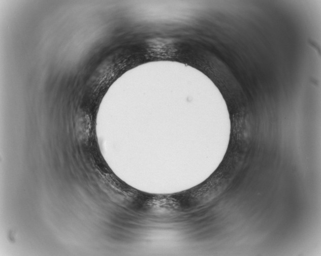 X0000103940752200810031322