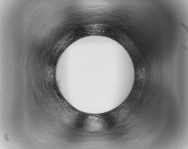 X0000103940753200810031322