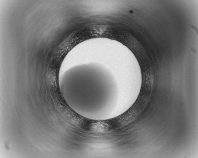 X0000103940754200810031322