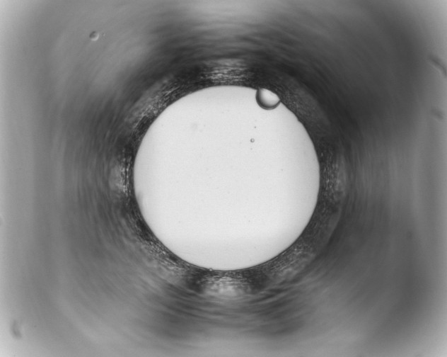 X0000103940755200810031322