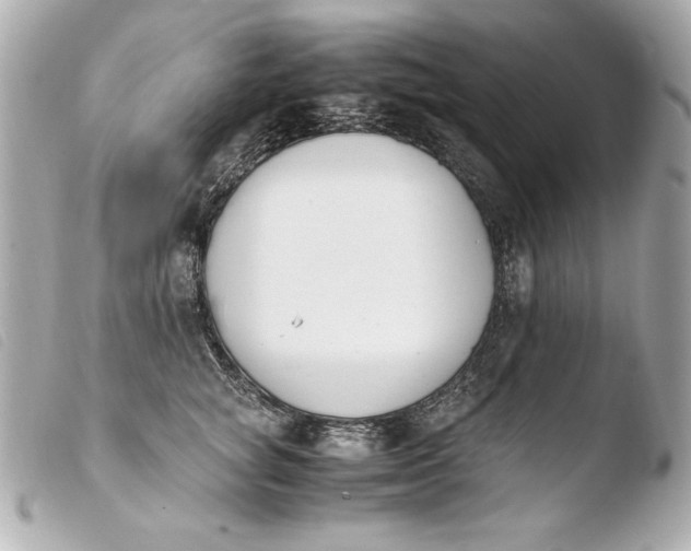 X0000103940757200810031322