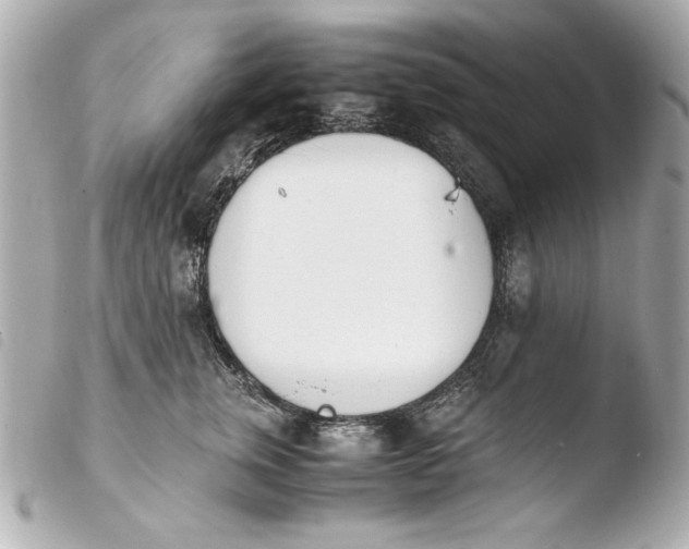 X0000103940759200810031322