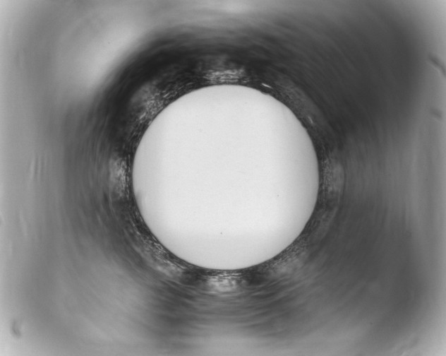 X0000103940761200810031322