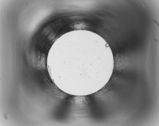 X0000103940762200810031322