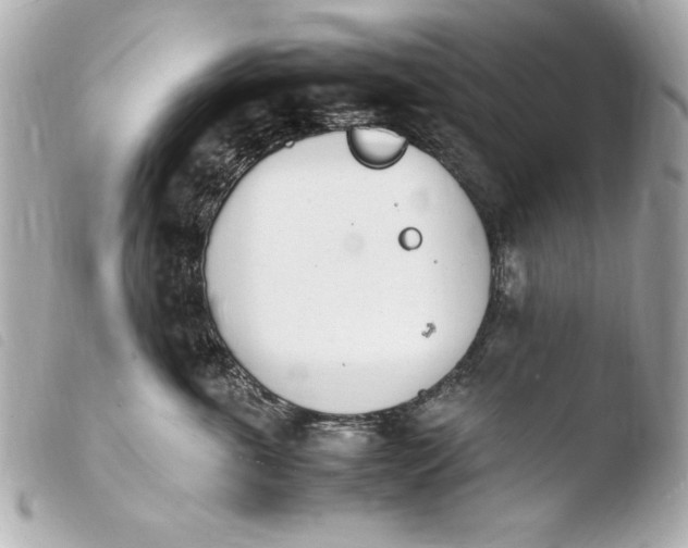 X0000103940763200810031322