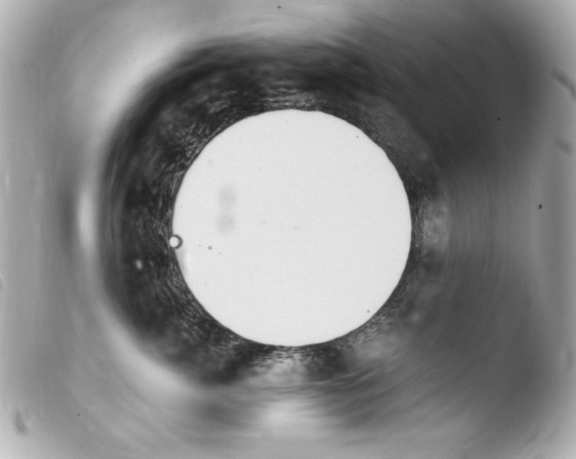 X0000103940764200810031322