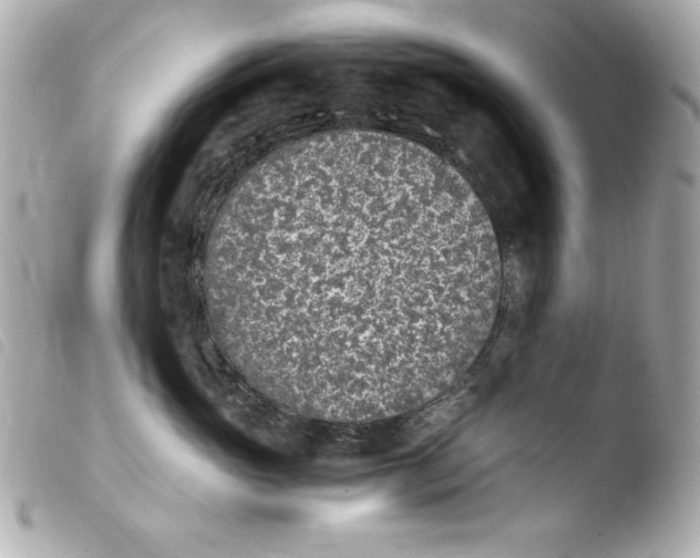 X0000103940765200810031322