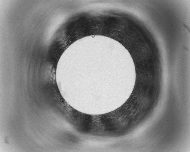 X0000103940766200810031322