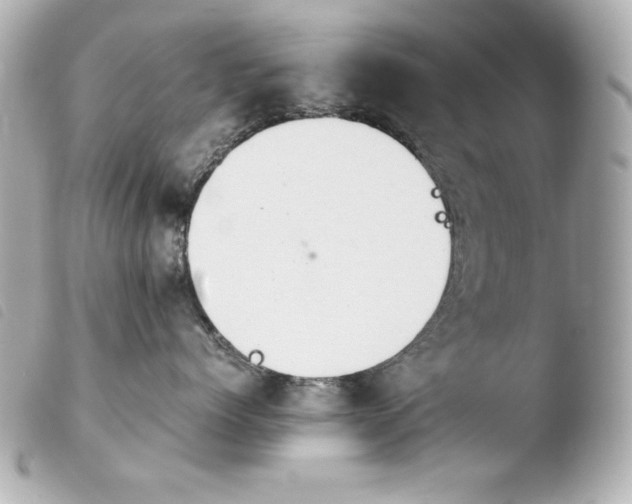 X0000103940768200810031322