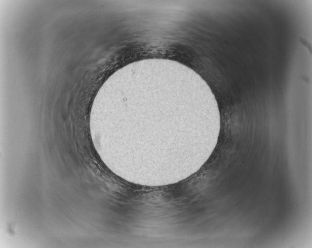 X0000103940769200810031321