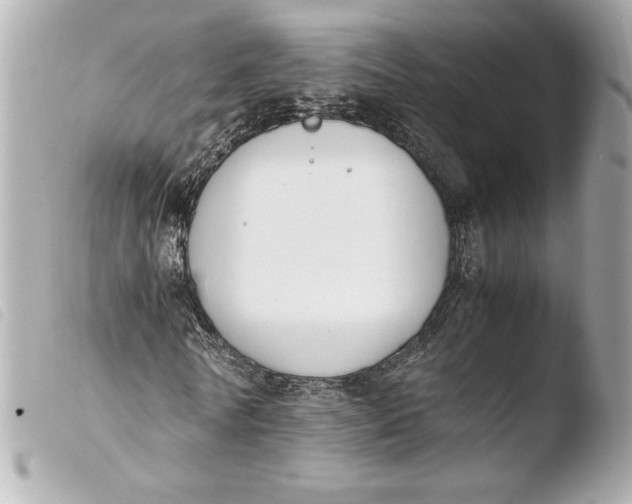 X0000103940770200810031321