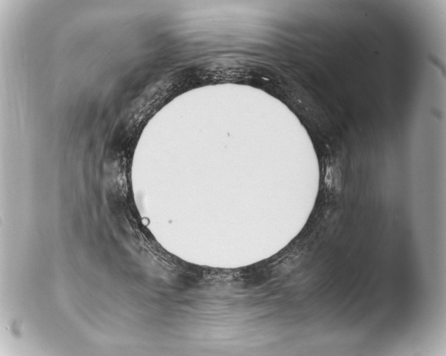 X0000103940771200810031321