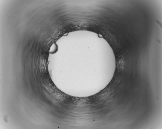 X0000103940772200810031321