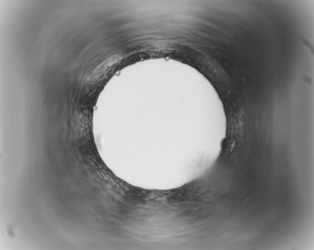 X0000103940773200810031321