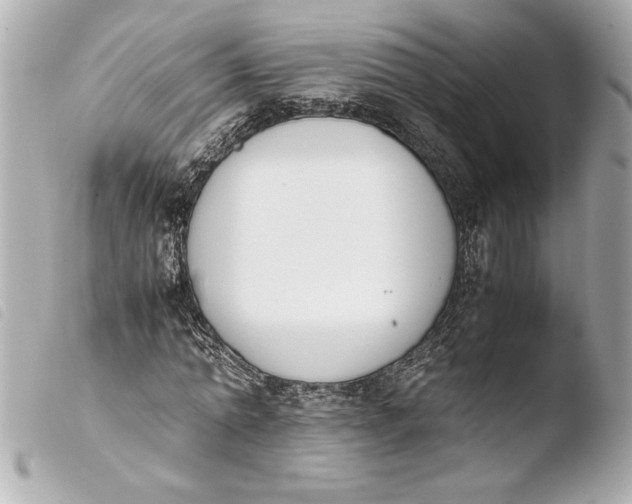 X0000103940774200810031321