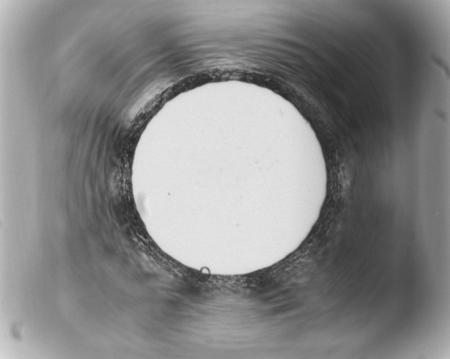 X0000103940775200810031321