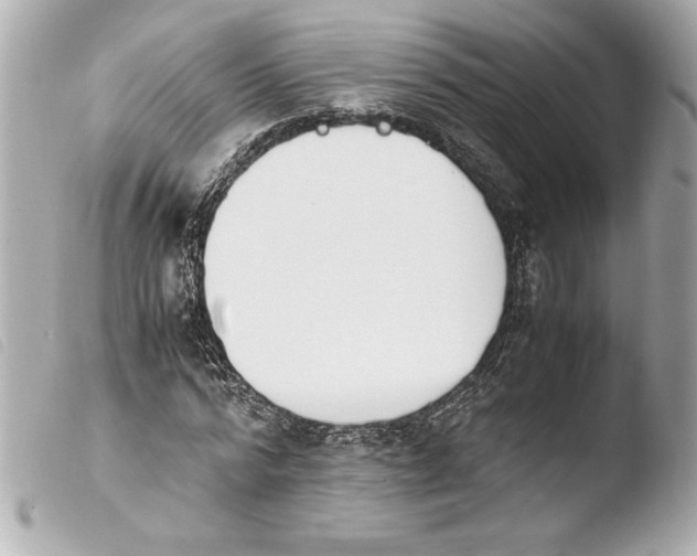 X0000103940776200810031321