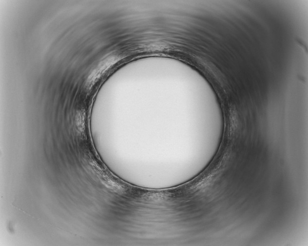 X0000103940778200810031321