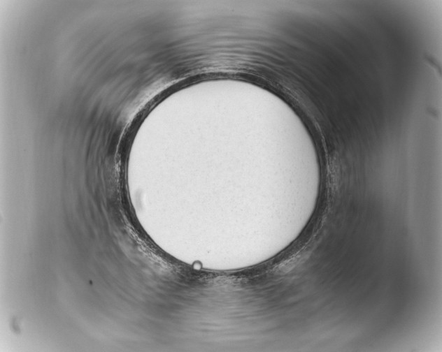 X0000103940779200810031321