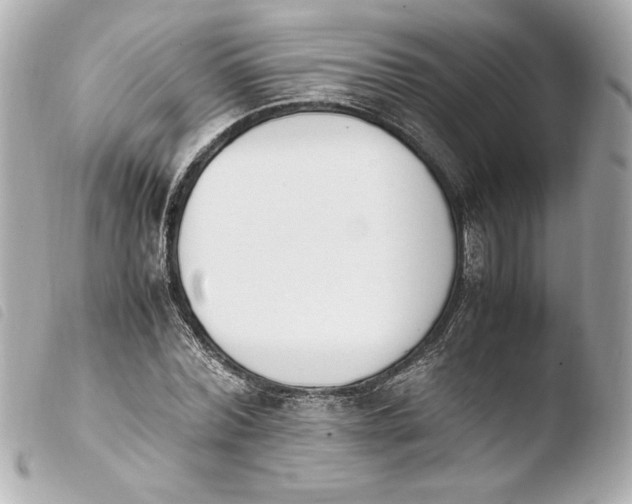 X0000103940780200810031321