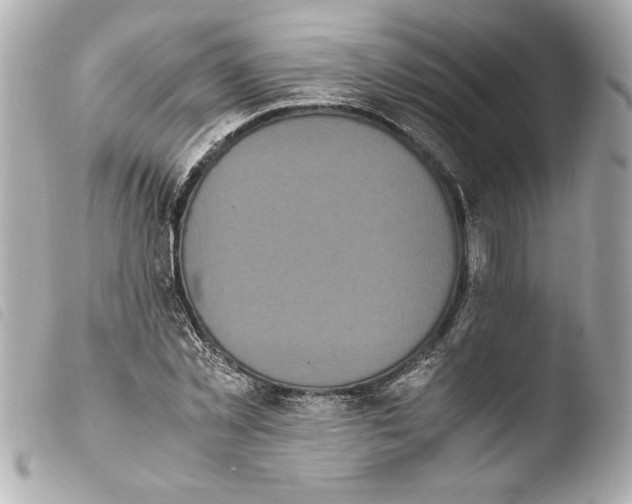 X0000103940781200810031321