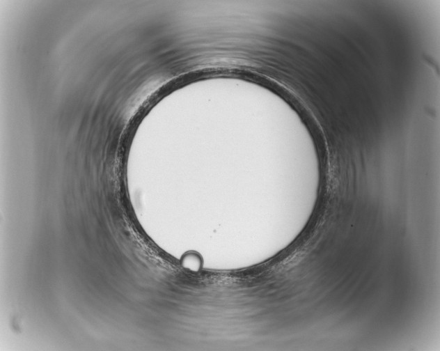 X0000103940783200810031321