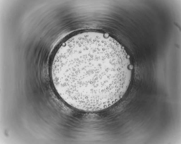 X0000103940784200810031321