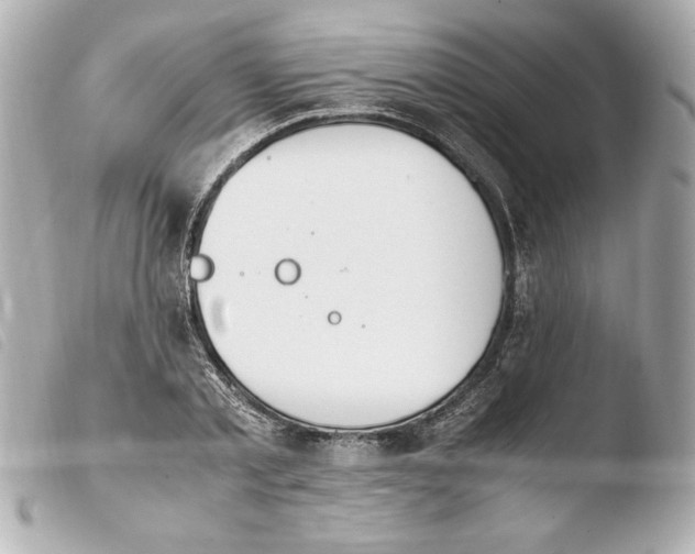 X0000103940789200810031321