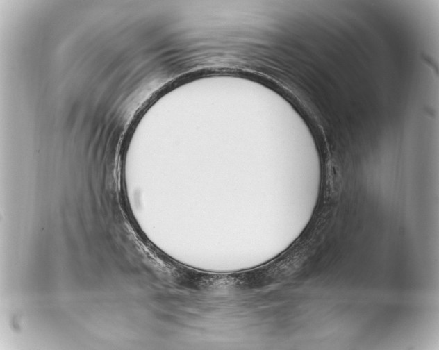 X0000103940791200810031321