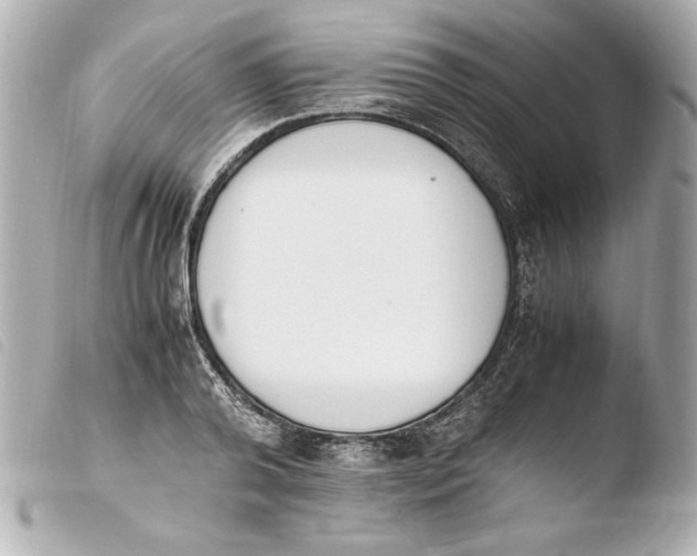 X0000103940792200810031321