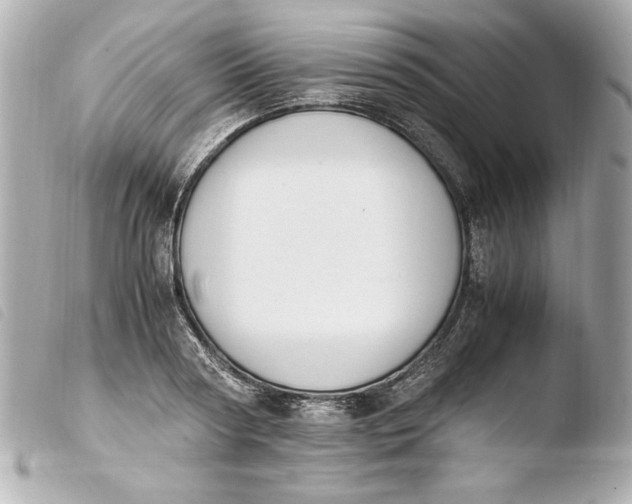 X0000103940794200810031321